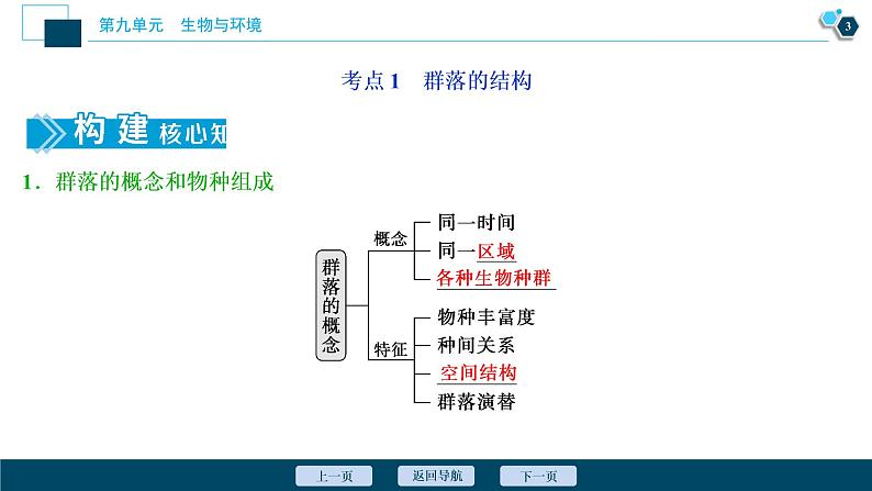 高中生物高考2 第29讲 群落的结构 群落的演替课件PPT第4页