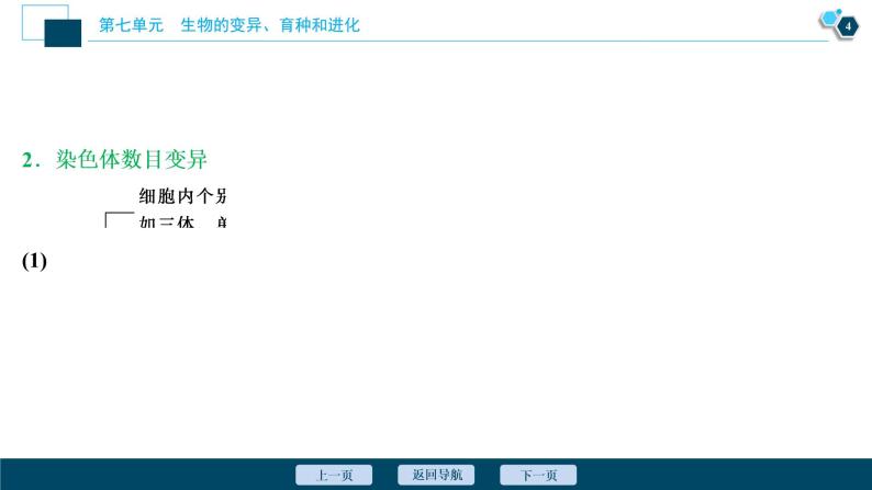 高中生物高考2　第七单元　第21讲　染色体变异与育种课件PPT05