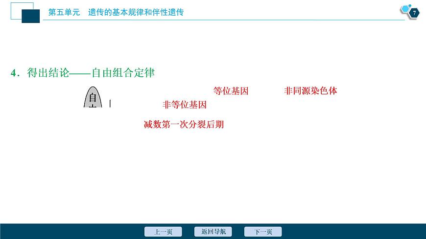 高中生物高考2 第五單元 第15講 基因的自由組合定律課件PPT第8頁