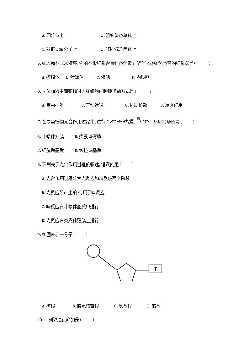 2022年7月广东省普通高中学业水平考试生物仿真模拟试卷05(无答案)02