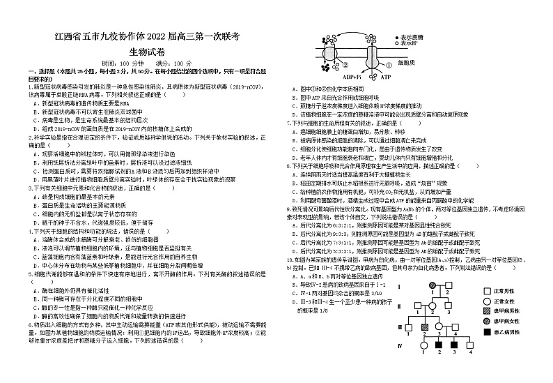 江西省五市九校2022届高三上学期第一次联考生物试题 Word版含答案第1页