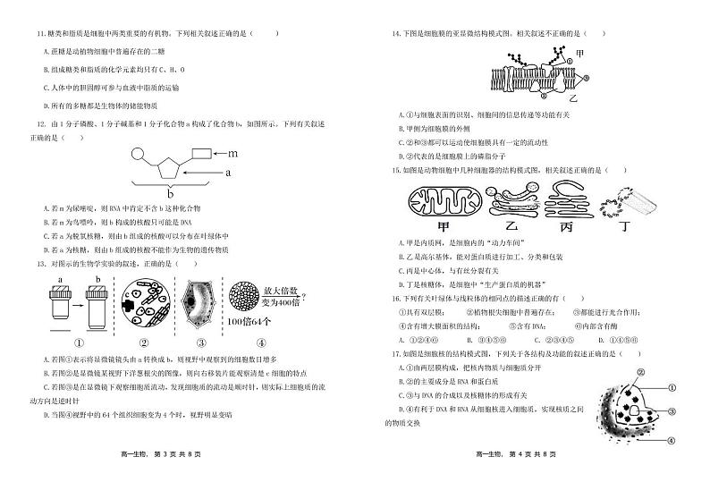 辽宁省协作校2022-2023学年高一上学期期中考试 生物 PDF版试卷第2页