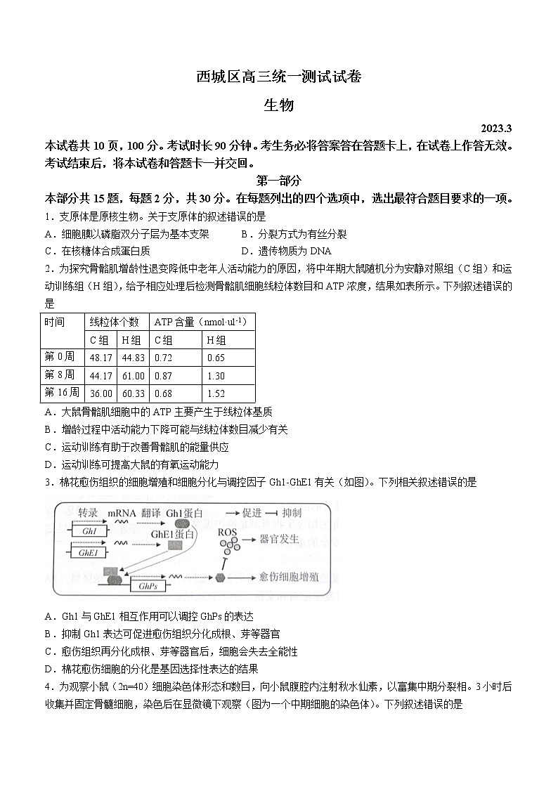 2023届北京市西城区高三一模生物试题(含答案)01