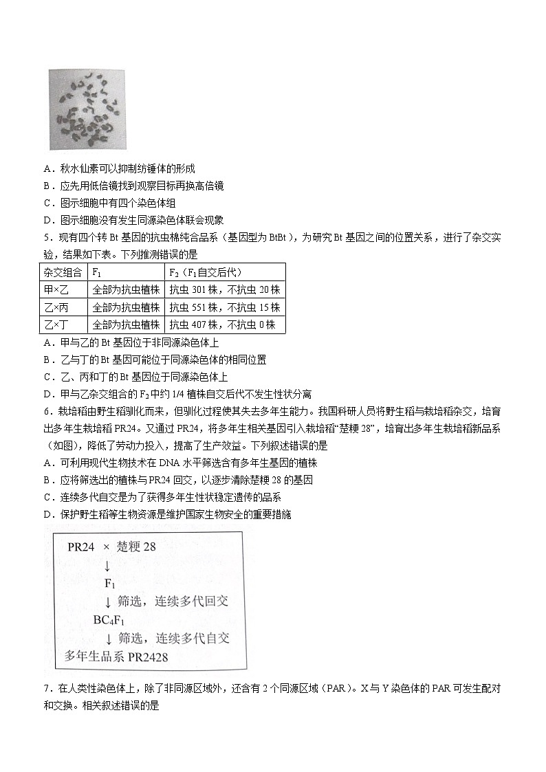 2023届北京市西城区高三一模生物试题(含答案)02
