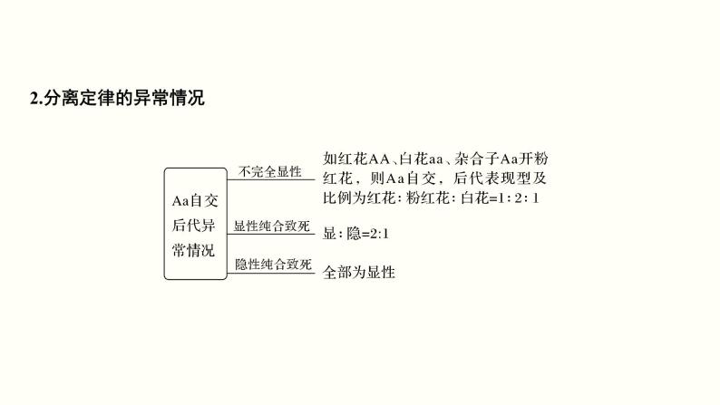 高中生物高考第六单元 遗传的基本规律（课件）05