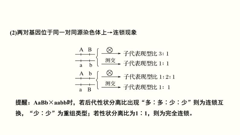 高中生物高考第六单元 遗传的基本规律（课件）07