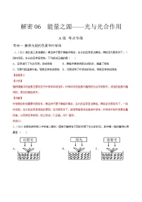 高中生物高考解密06 能量之源——光与光合作用（分层训练）（解析版）