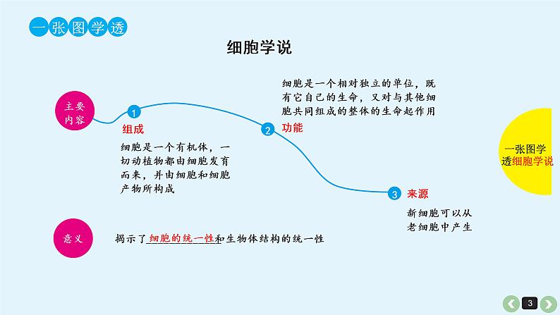 高中生物高考高考生物(全国版)一轮复习课件:第5课-细胞学说的建立、真核细胞和原核细胞的比较第3页
