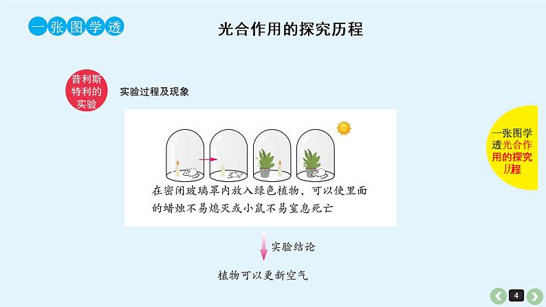高中生物高考高考生物(全国版)一轮复习课件:第13课-光合作用第4页