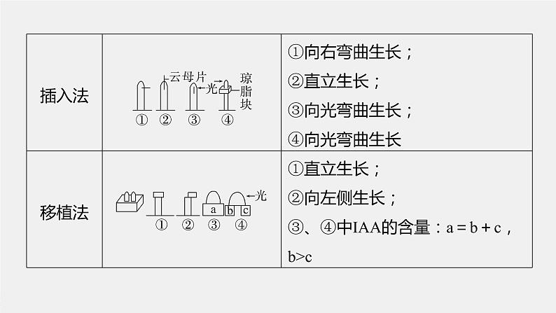 高中生物高考2023年高考生物一轮复习(新人教新高考) 第8单元 微专题九 植物激素调节的相关实验探究课件PPT第3页