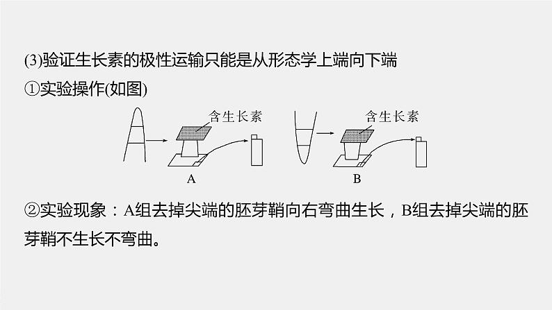 高中生物高考2023年高考生物一轮复习(新人教新高考) 第8单元 微专题九 植物激素调节的相关实验探究课件PPT第7页