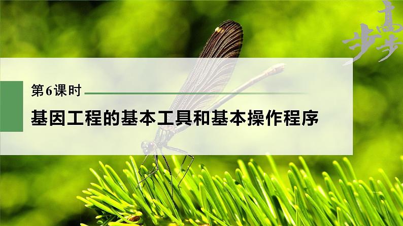 高中生物高考2023年高考生物一轮复习(新人教新高考) 第10单元 第6课时 基因工程的基本工具和基本操作程序课件PPT第1页