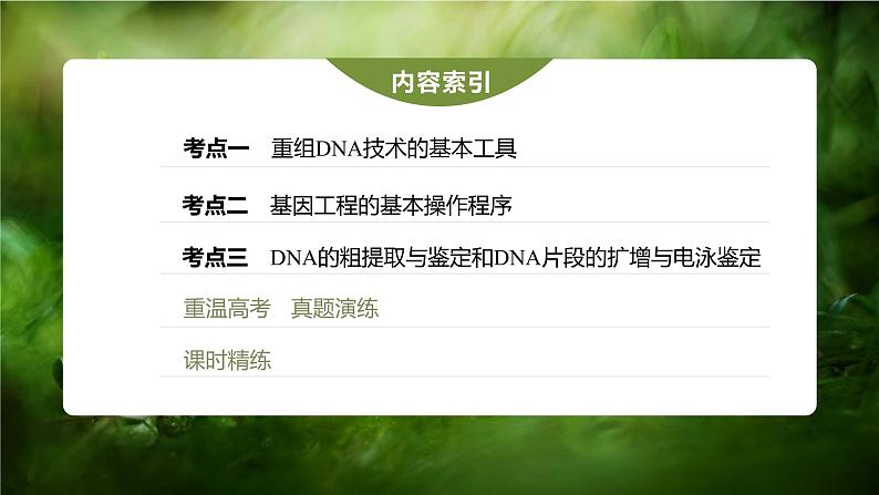 高中生物高考2023年高考生物一轮复习(新人教新高考) 第10单元 第6课时 基因工程的基本工具和基本操作程序课件PPT第3页