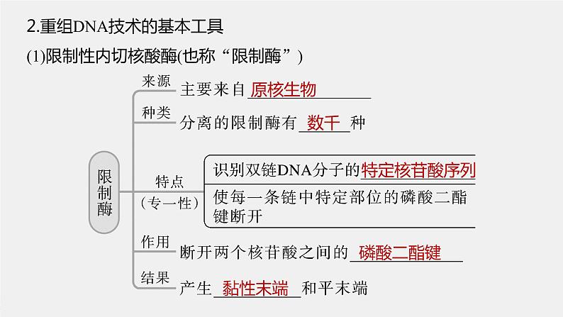 高中生物高考2023年高考生物一轮复习(新人教新高考) 第10单元 第6课时 基因工程的基本工具和基本操作程序课件PPT第7页