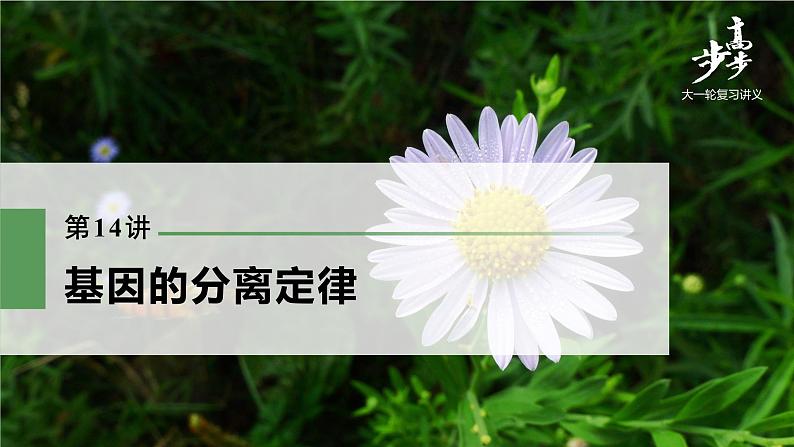 高中生物高考2022年高考生物一轮复习 第5单元 第14讲 基因的分离定律课件PPT第1页