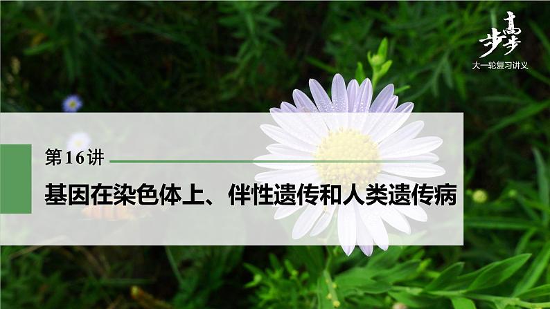 高中生物高考2022年高考生物一轮复习 第5单元 第16讲 基因在染色体上、伴性遗传和人类遗传病课件PPT第1页