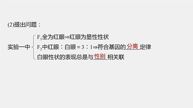 高中生物高考2022年高考生物一轮复习 第5单元 第16讲 基因在染色体上、伴性遗传和人类遗传病课件PPT第8页