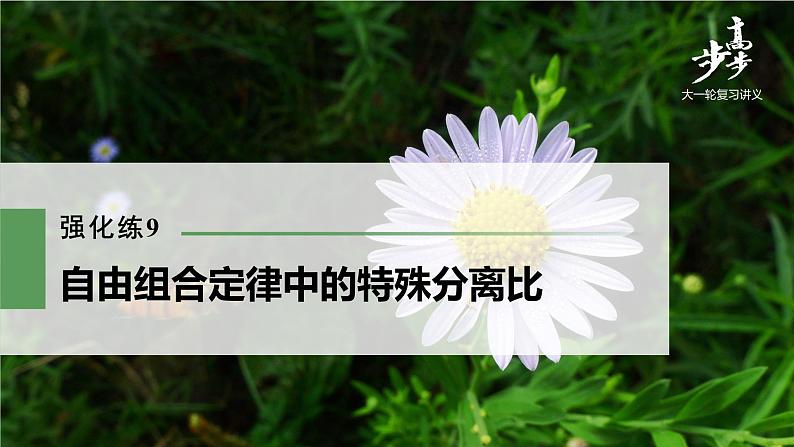 高中生物高考2022年高考生物一轮复习 第5单元 强化练9 自由组合定律中的特殊分离比课件PPT第1页