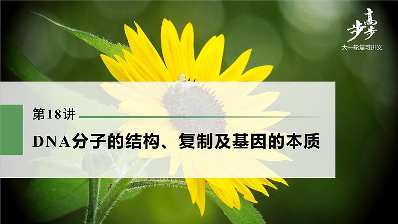 高中生物高考2022年高考生物一轮复习 第6单元 第18讲 DNA分子的结构、复制及基因的本质课件PPT第1页