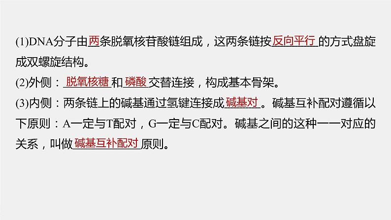 高中生物高考2022年高考生物一轮复习 第6单元 第18讲 DNA分子的结构、复制及基因的本质课件PPT第6页
