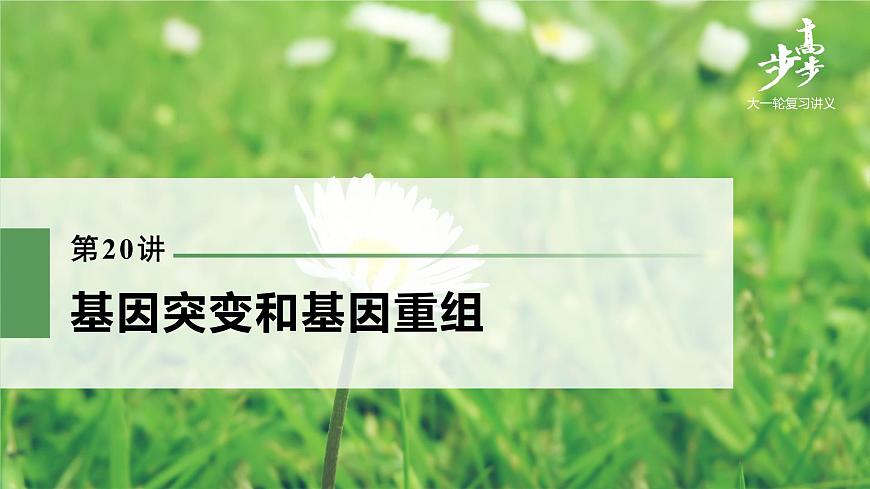 高中生物高考2022年高考生物一輪復(fù)習(xí) 第7單元 第20講 基因突變和基因重組課件PPT第1頁(yè)