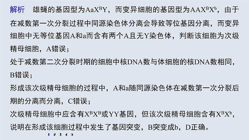 高中生物高考2022年高考生物一轮复习 第7单元 强化练13 生物变异类型的判断课件PPT第3页