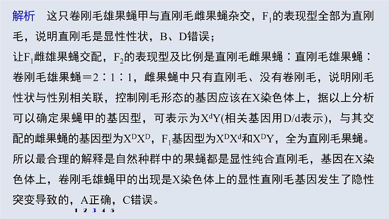 高中生物高考2022年高考生物一轮复习 第7单元 强化练13 生物变异类型的判断课件PPT第7页