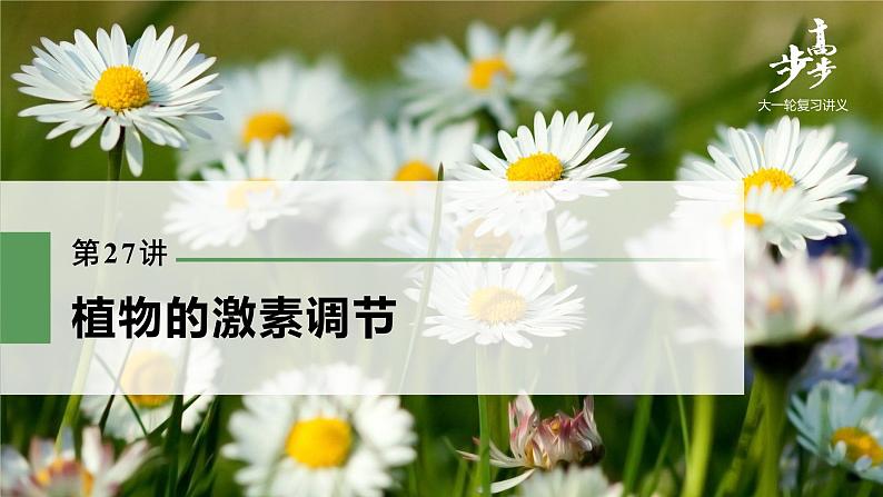 高中生物高考2022年高考生物一轮复习 第8单元 第27讲 植物的激素调节课件PPT第1页