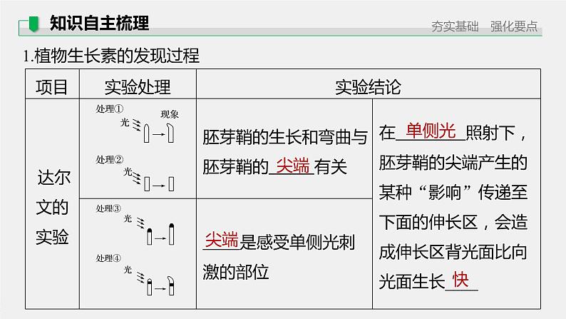高中生物高考2022年高考生物一轮复习 第8单元 第27讲 植物的激素调节课件PPT第5页