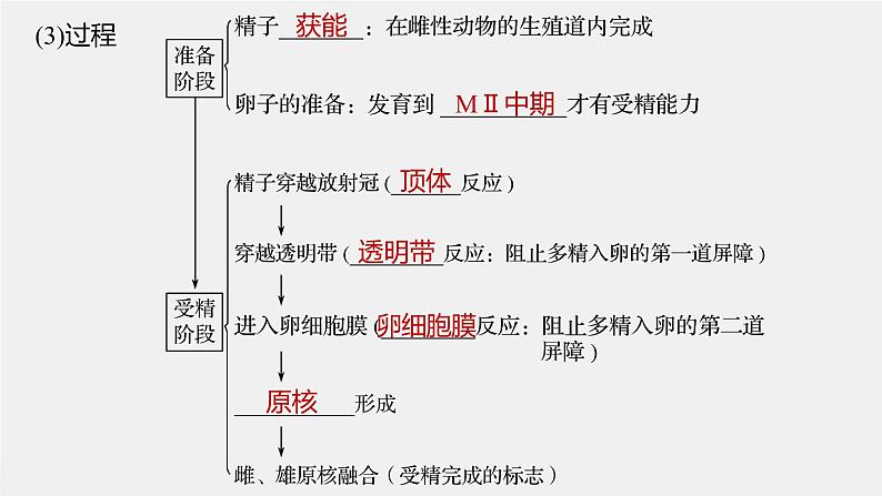 高中生物高考2022年高考生物一轮复习 第10单元 第35讲 胚胎工程与生物技术的安全性和伦理问题课件PPT第8页