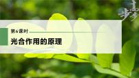 高中生物高考2023年高考生物一轮复习（新人教新高考） 第3单元 第6课时　光合作用的原理课件PPT