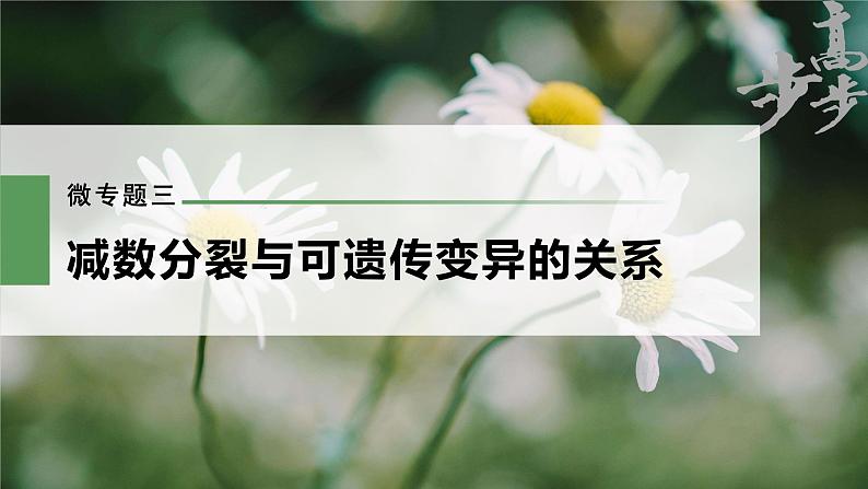 高中生物高考2023年高考生物一轮复习(新人教新高考) 第4单元 微专题三 减数分裂与可遗传变异的关系课件PPT第1页