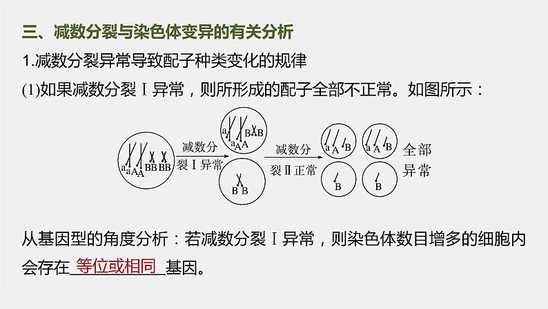 高中生物高考2023年高考生物一轮复习(新人教新高考) 第4单元 微专题三 减数分裂与可遗传变异的关系课件PPT第6页