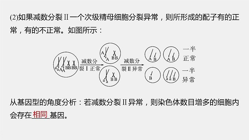 高中生物高考2023年高考生物一轮复习(新人教新高考) 第4单元 微专题三 减数分裂与可遗传变异的关系课件PPT第7页