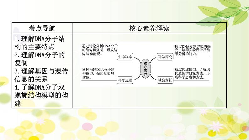 高中生物高考2022届新教材一轮复习人教版 第六单元 第2课 DNA分子的结构、复制和基因的本质 课件第2页