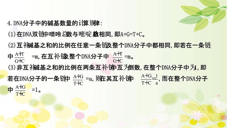 高中生物高考2022届新教材一轮复习人教版 第六单元 第2课 DNA分子的结构、复制和基因的本质 课件第7页