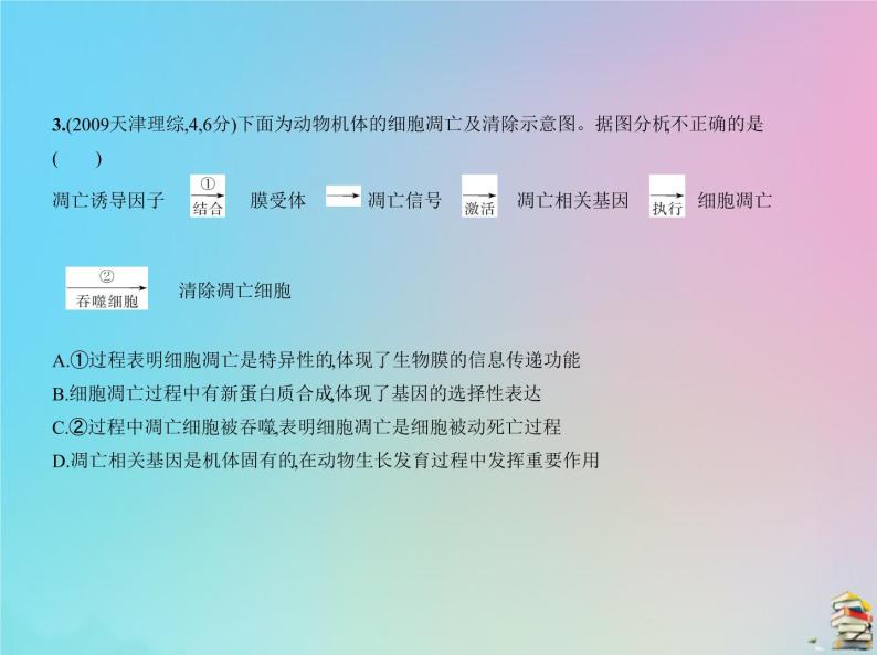 高中生物高考2020届高考生物一轮复习专题8细胞的分化衰老凋亡和癌变课件05