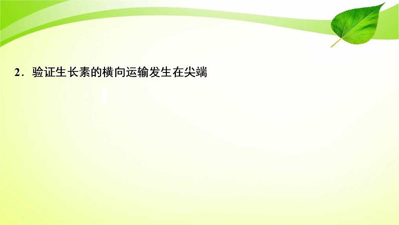 高中生物高考2022年二轮复习:加强提升课(九) 植物激素调节相关实验探究课件PPT03
