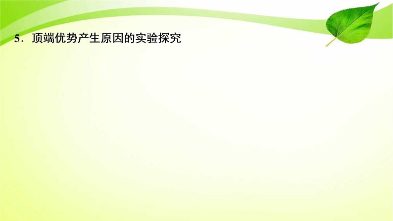 高中生物高考2022年二轮复习:加强提升课(九) 植物激素调节相关实验探究课件PPT06