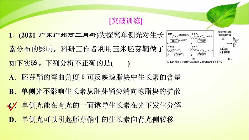 高中生物高考2022年二轮复习:加强提升课(九) 植物激素调节相关实验探究课件PPT08