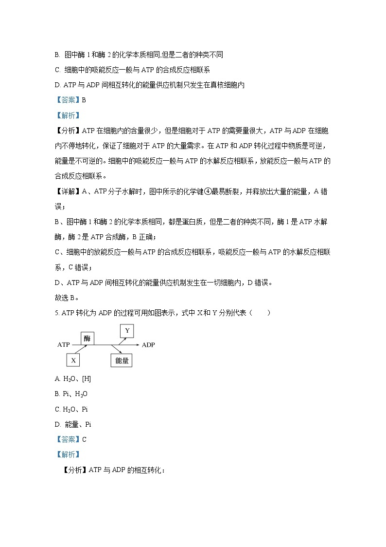 重庆市万州第二高级中学2022-2023学年高一生物下学期3月第一次月考试题（Word版附解析）03