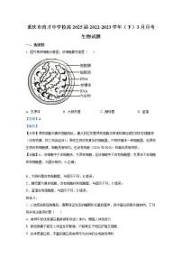 重庆市育才中学2022-2023学年高一生物下学期3月月考试题（Word版附解析）