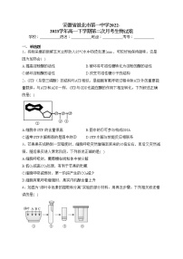 安徽省淮北市第一中学2022-2023学年高一下学期第二次月考生物试卷（含答案）