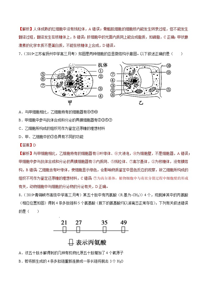 高中生物高考专题01 细胞的分子组成与细胞基础(解析版)第3页