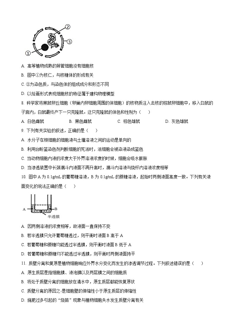 2022南充高二下学期期末考试生物含解析02
