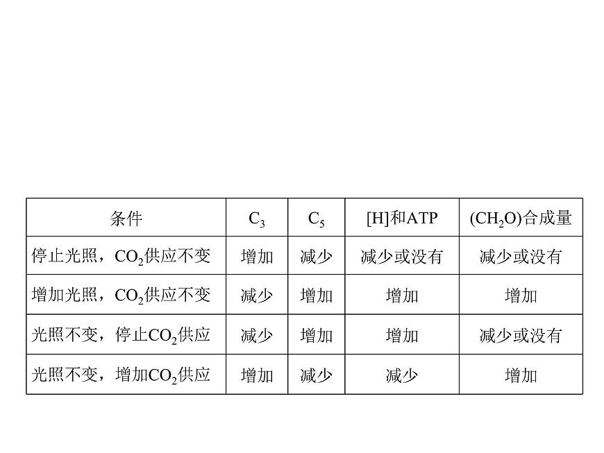 高中生物高考考點(diǎn)精講6 光合作用與能量轉(zhuǎn)化(課件)練習(xí)題第4頁