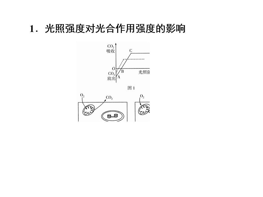 高中生物高考考點(diǎn)精講6 光合作用與能量轉(zhuǎn)化(課件)練習(xí)題第5頁