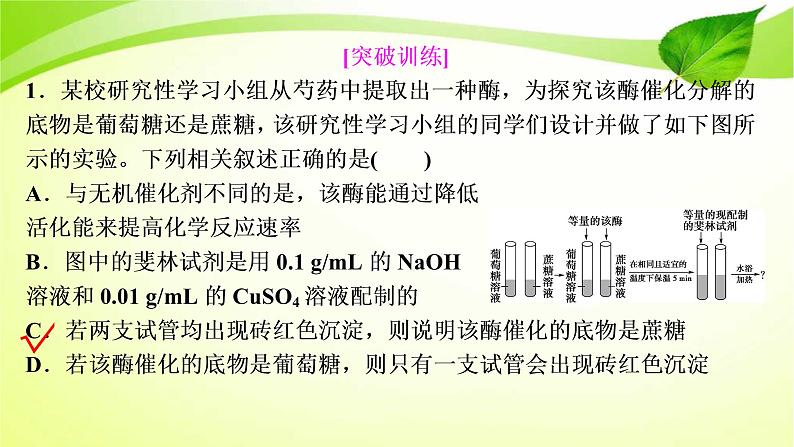 高中生物高考2022年二轮复习:加强提升课(一) 酶的相关实验设计课件PPT第4页