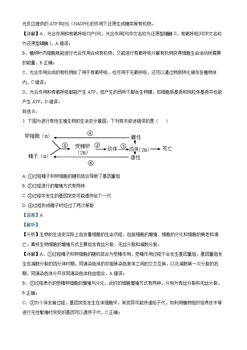 山西省大同市浑源中学2021-2022学年高二下学期期中生物试题含解析第2页