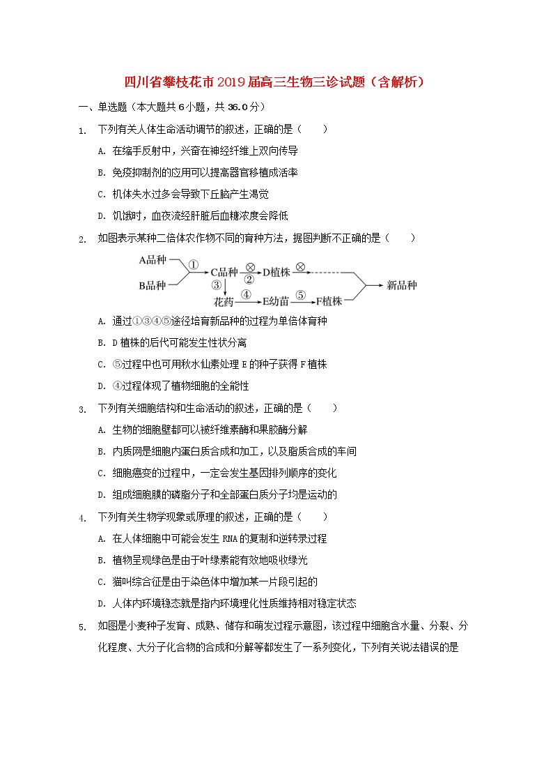 高中生物高考四川省攀枝花市2019届高三生物三诊试题（含解析）